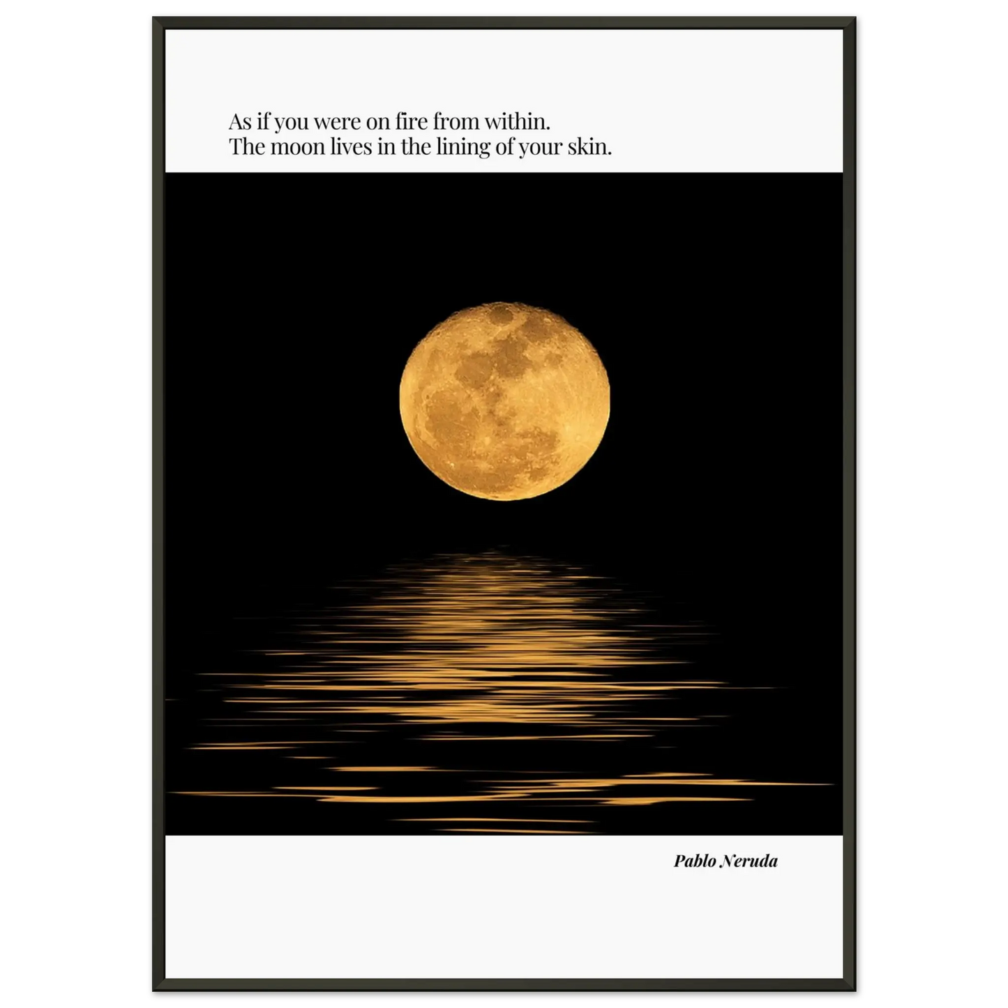 50d01a69-a0f6-44b1-85f0-3d41645eb721