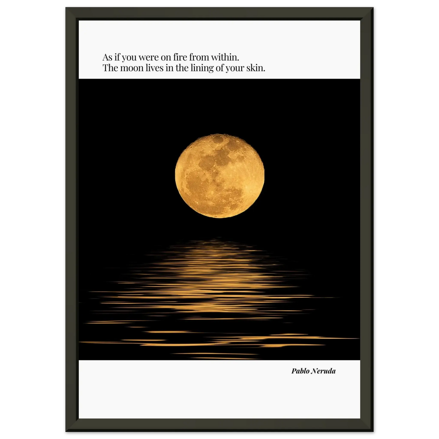 f9ccd56c-0cb3-42d1-a8e5-9385ded0e91d