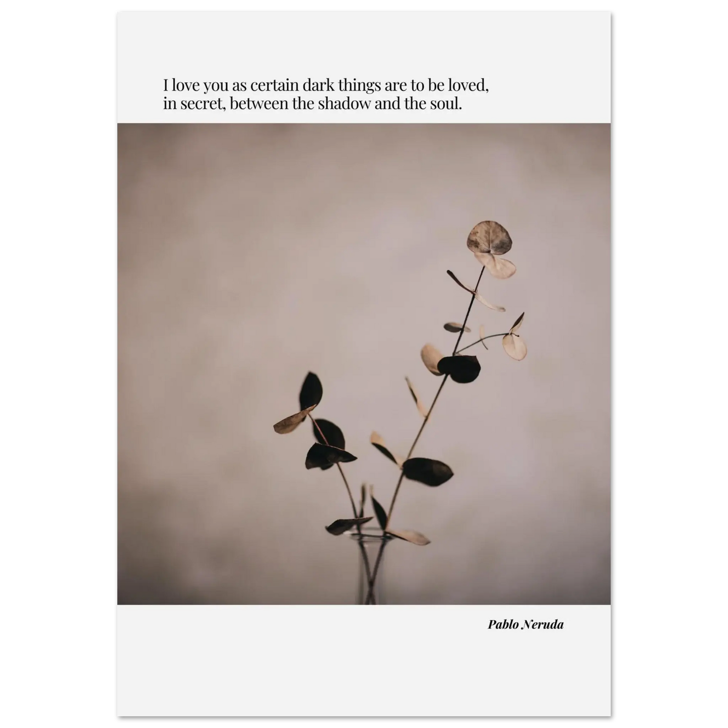 ac530881-d30b-4d91-9bf2-9c77f813c9e5