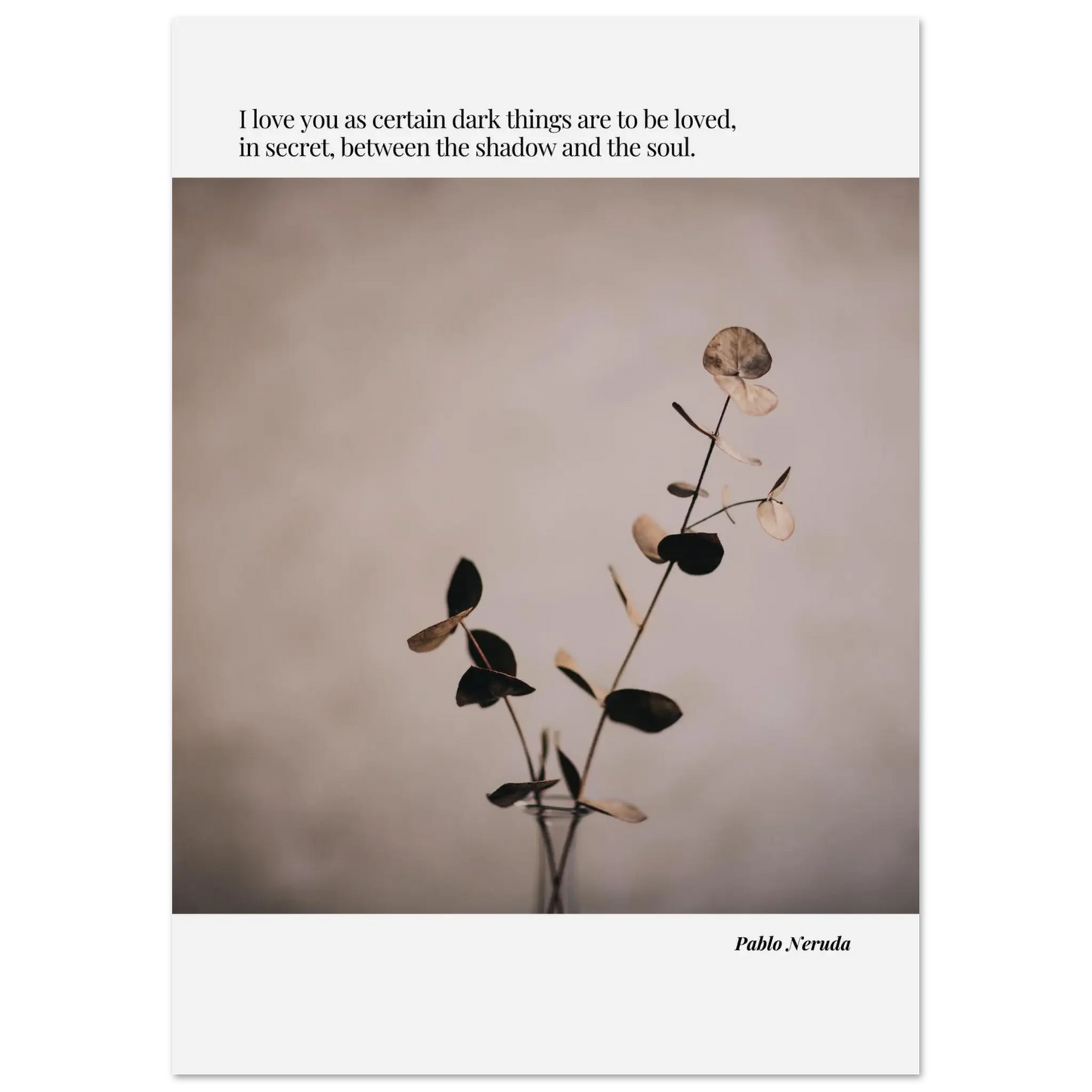 6821d49e-6e35-46a7-9e6c-d361408143ae