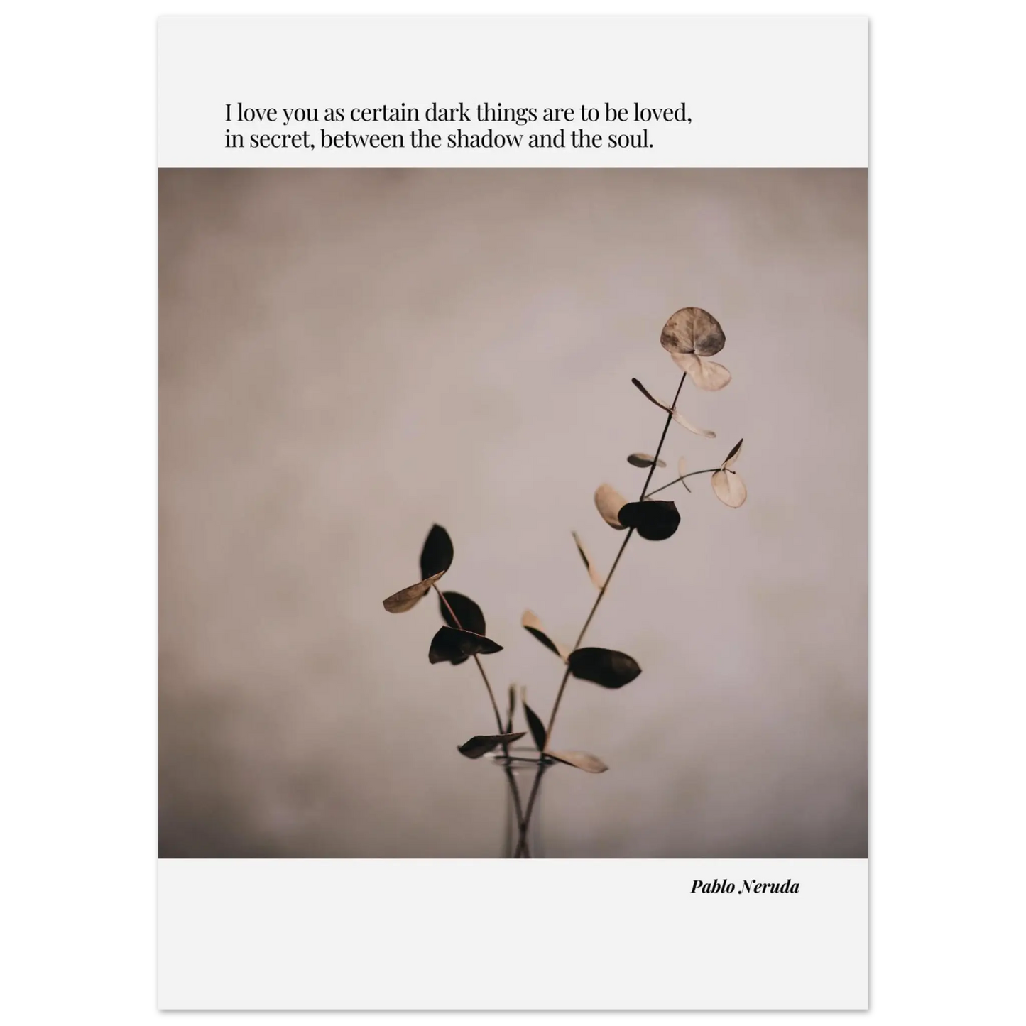 e6834ce2-20be-405b-86d8-a31ddeef997d