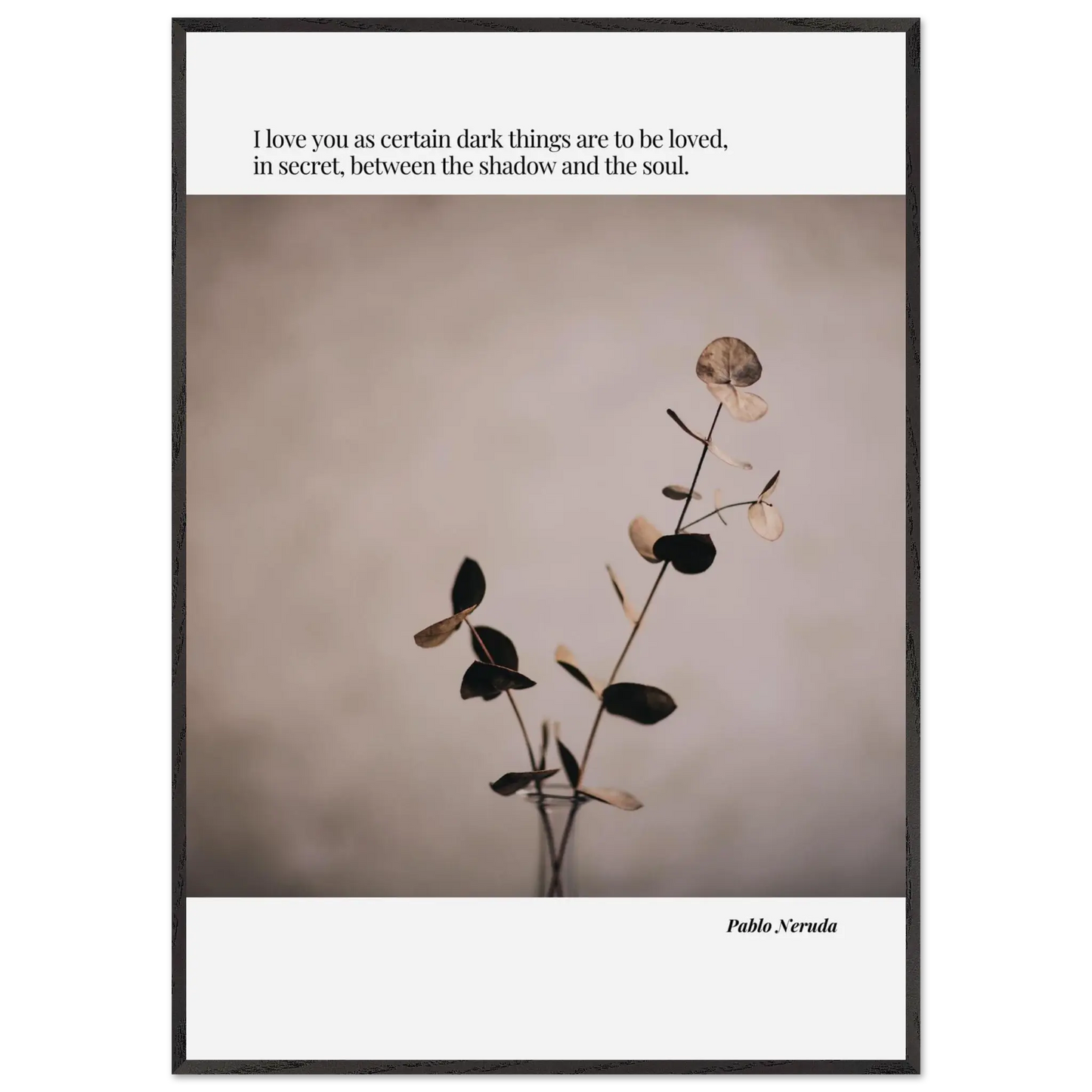 2b48f03e-29e2-4abf-a663-6d1994b15d56