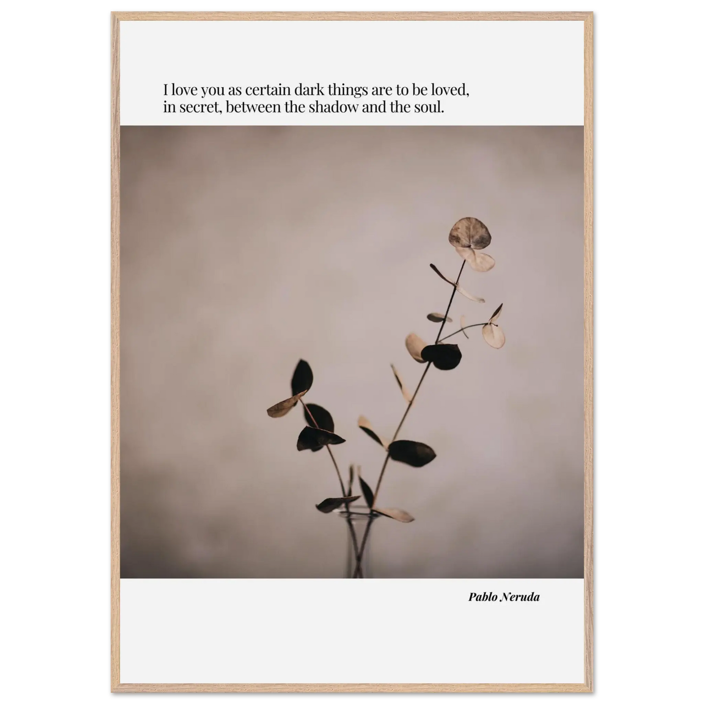 008860e1-ba90-4a3a-a98d-2f766f84832e