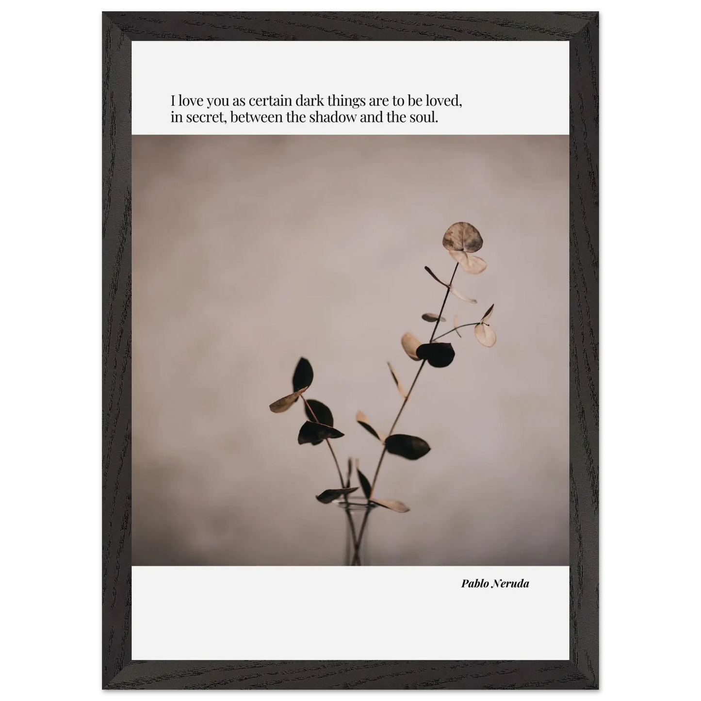 1556c7cf-51d4-4599-adb4-36ab5fc35c60