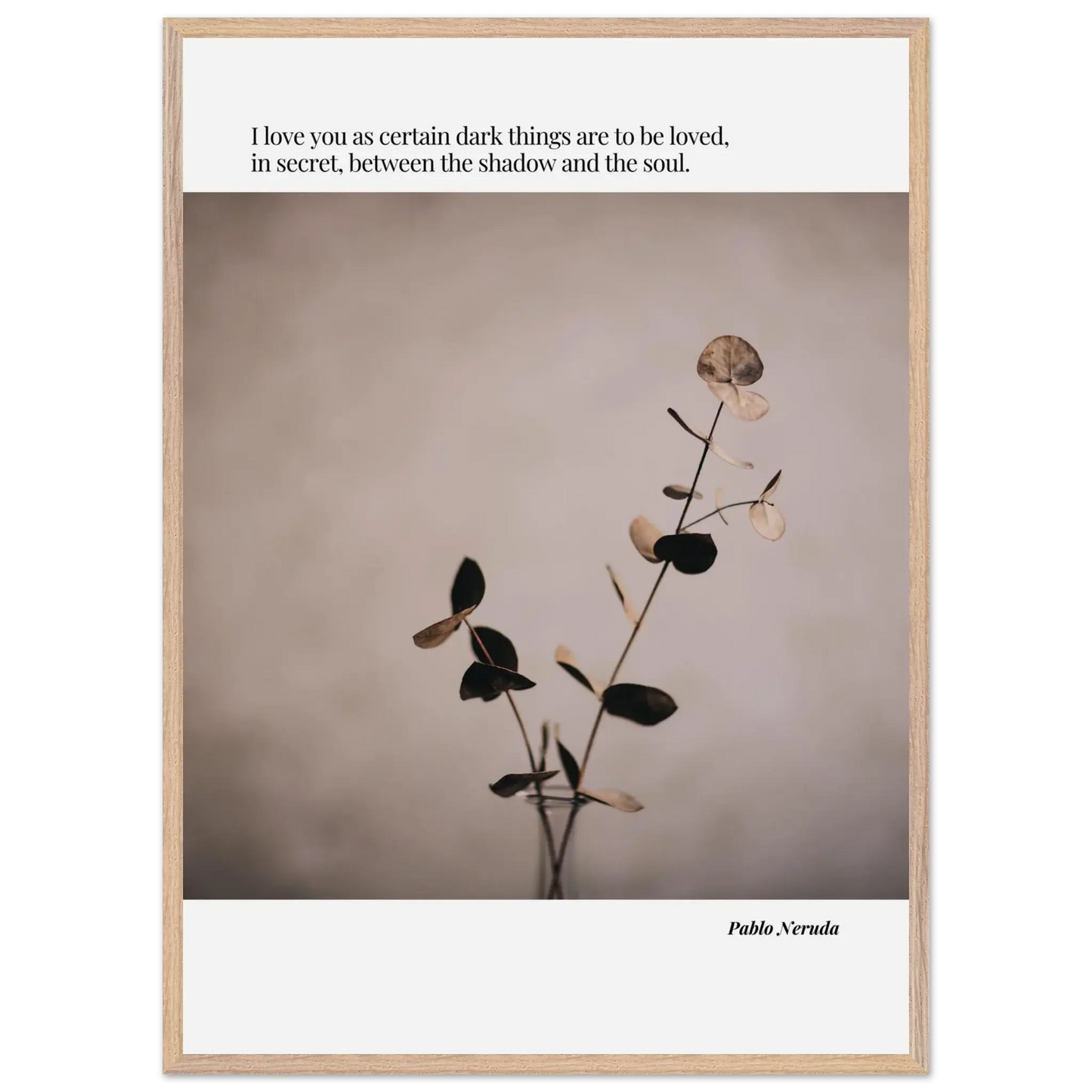 d424b45f-201b-498f-b27a-e979455510ff