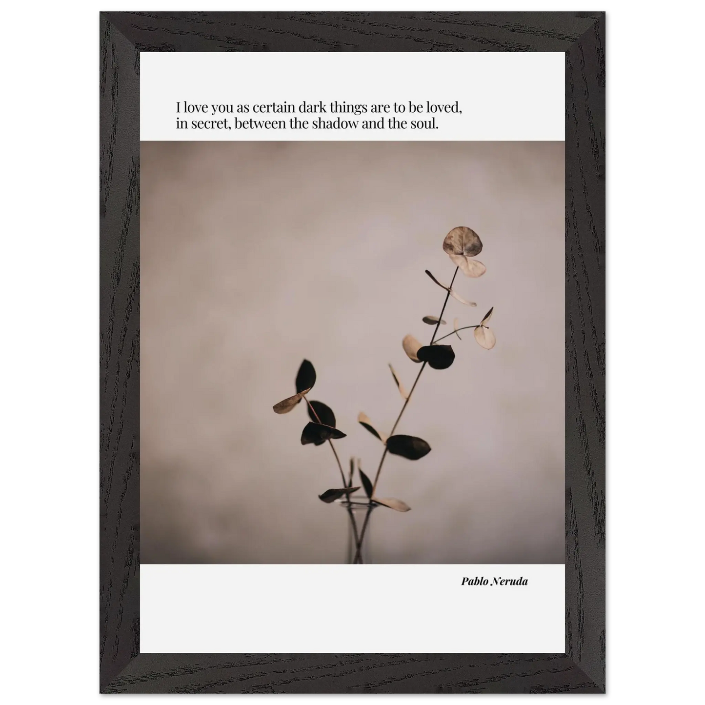 9e65aa0d-5c4a-49cd-bed4-5aebedc9d9aa