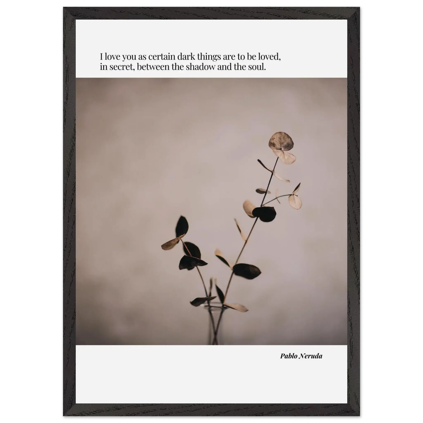 50a08955-8b5a-4532-9c2b-0a104d5b0fa2