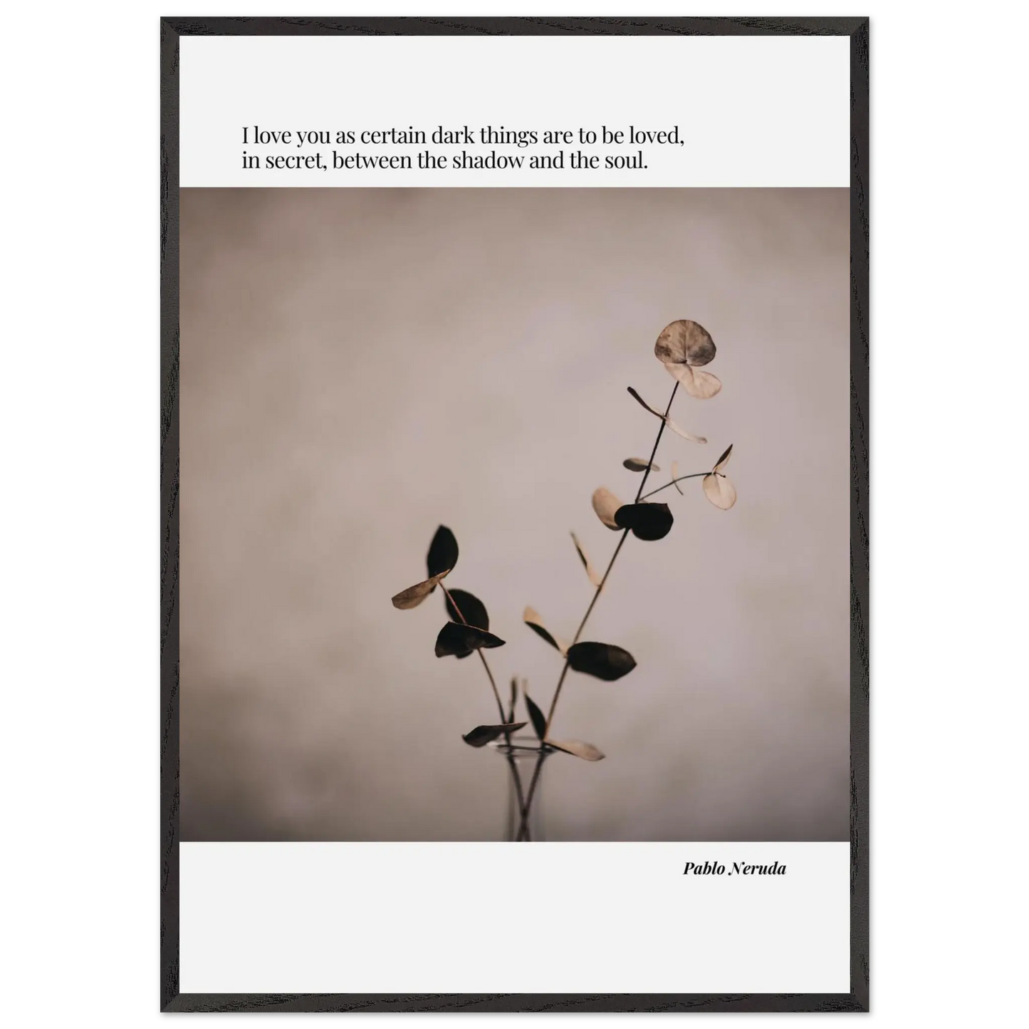 1b24e53c-cbaf-470b-b745-1dd46b4f44ca