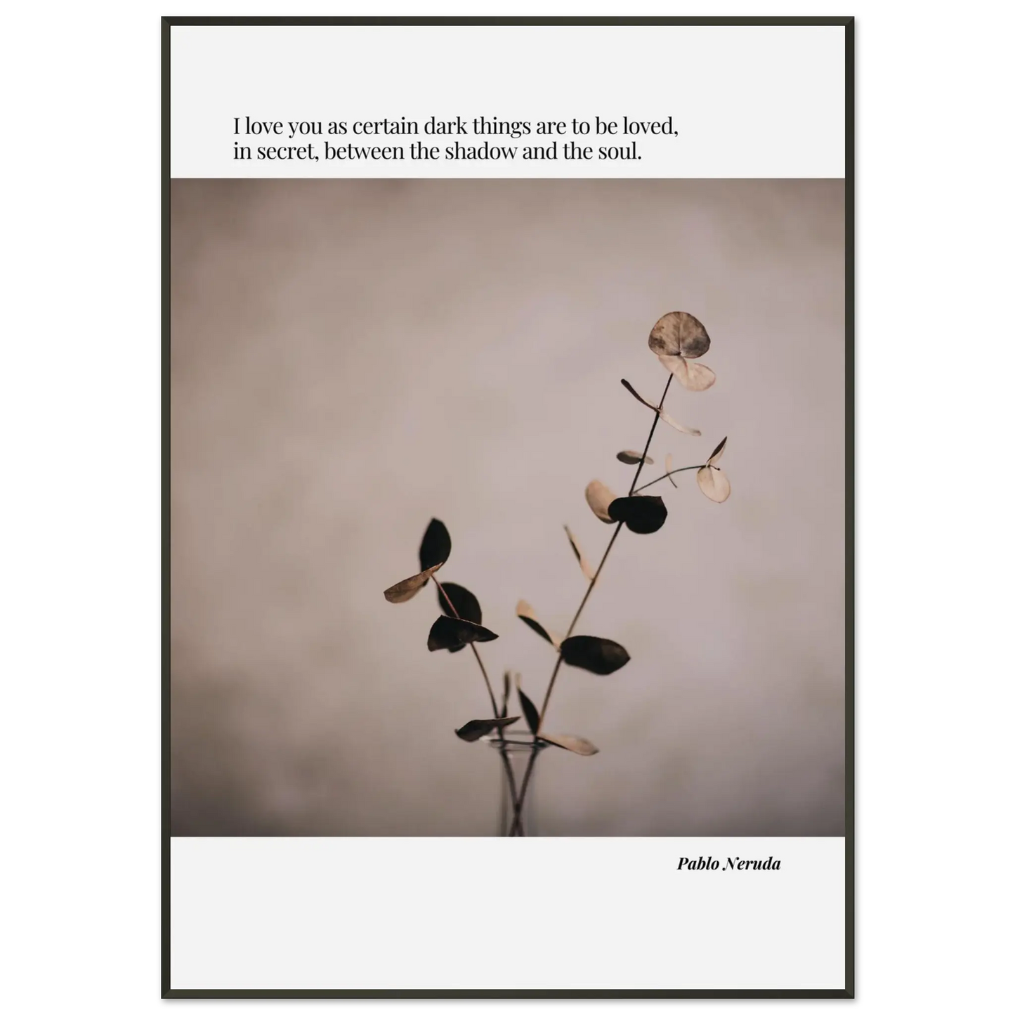 b7e50d2f-0eb7-408a-853b-1d22f7dbe620