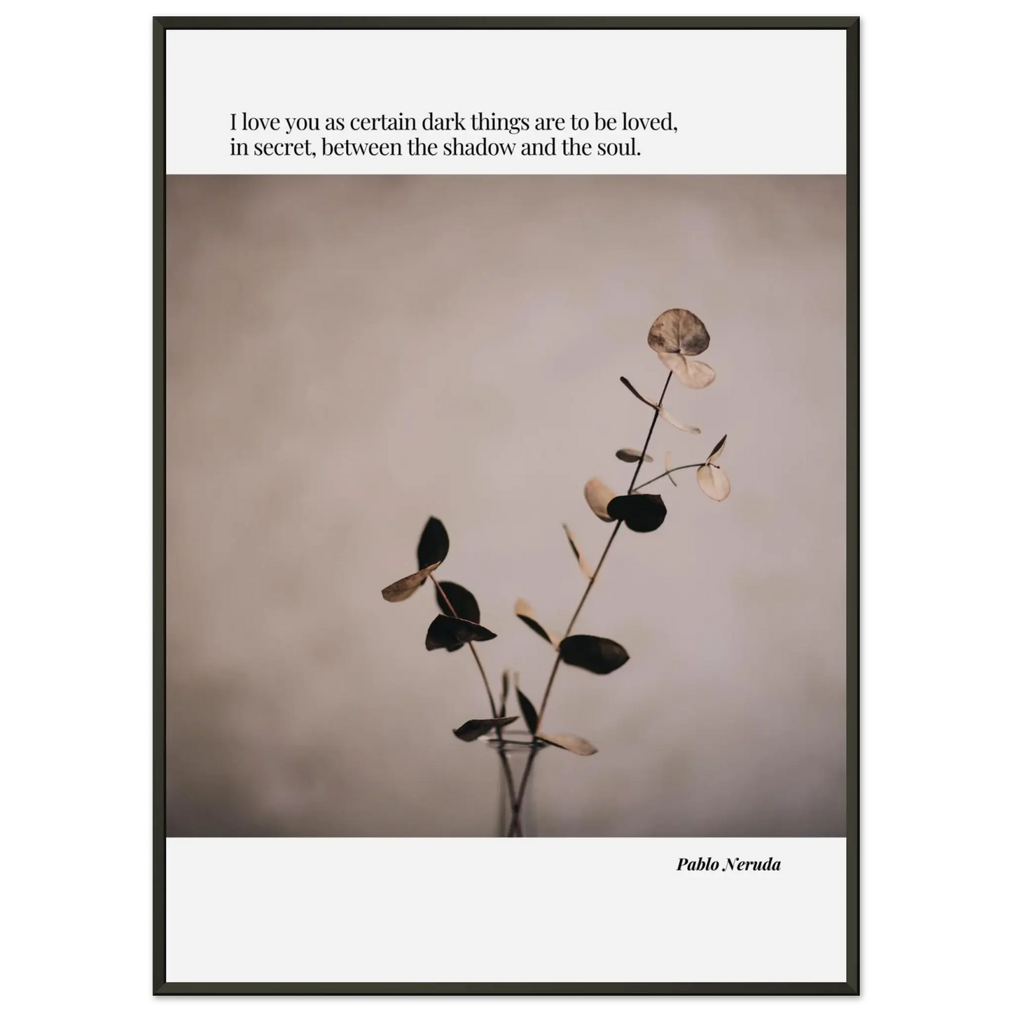 5bf1ae48-dda5-4ac5-8189-d9a449d6632c