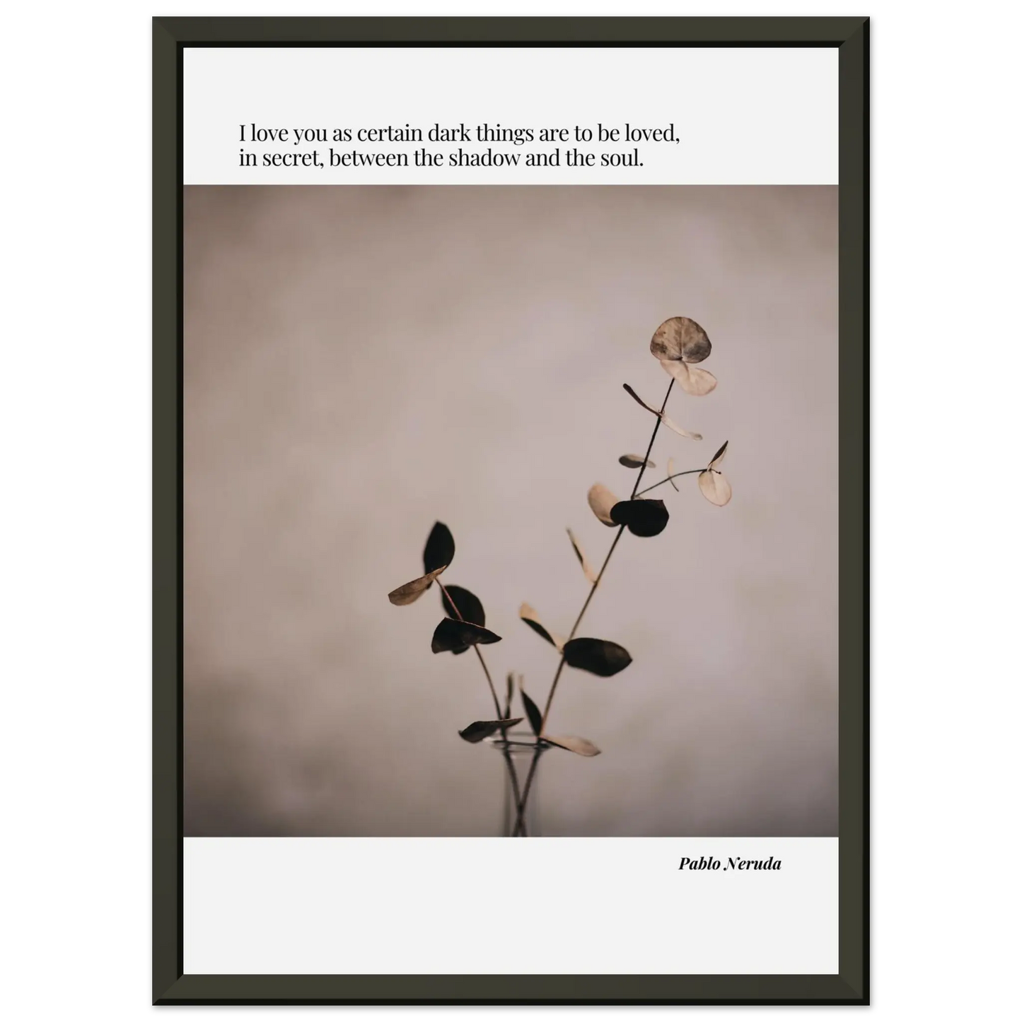 b7656d0d-04ec-47ed-82c0-907cea921358